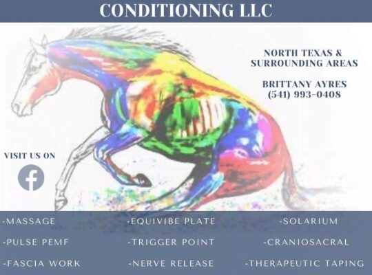 Whole Horse Sports Conditioning